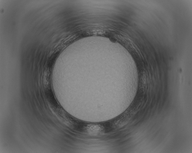 X0000087330218200705181044