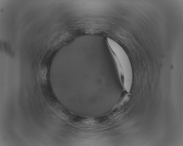 X0000087330219200705181044