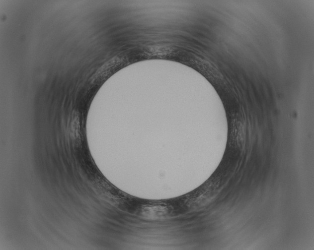 X0000087330220200705181044