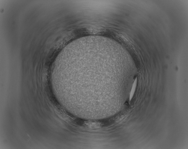 X0000087330221200705181044