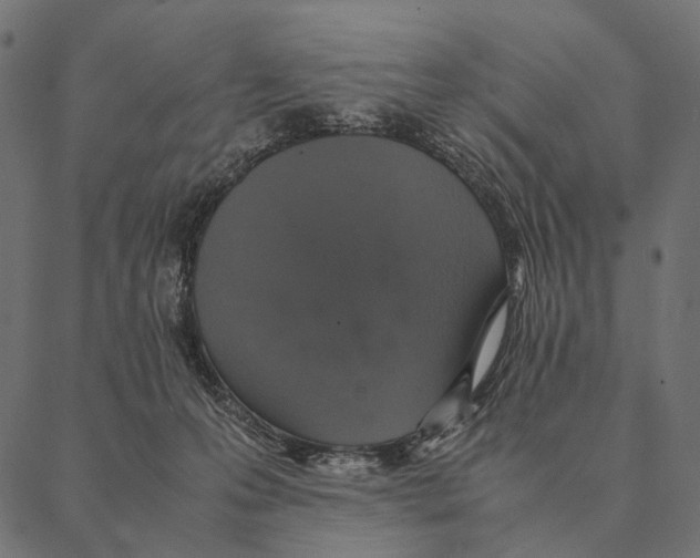 X0000087330223200705181044