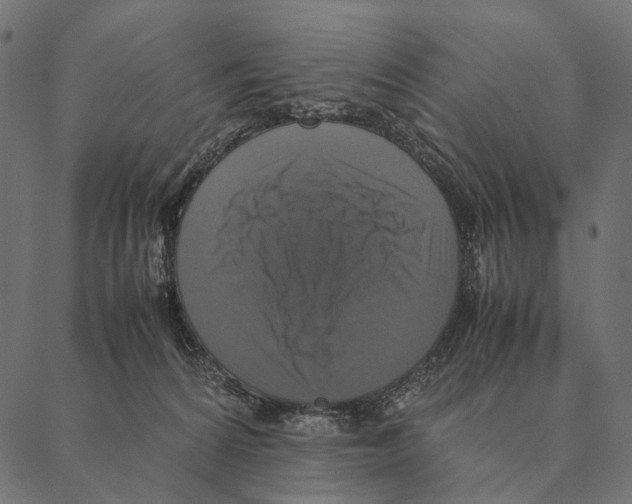 X0000087330224200705181044