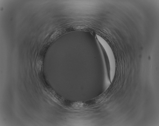 X0000087330227200705181044