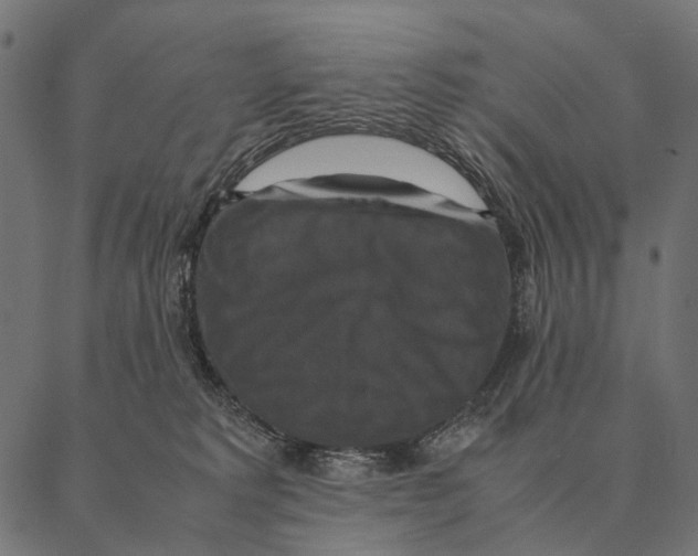 X0000087330229200705181044