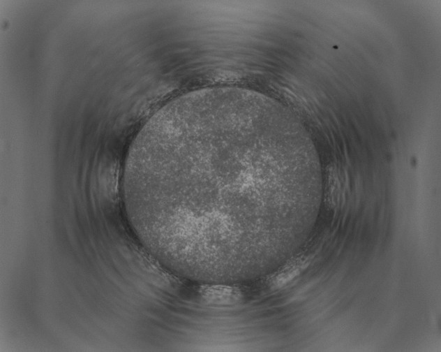 X0000087330230200705181044