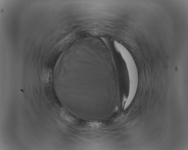 X0000087330233200705181044