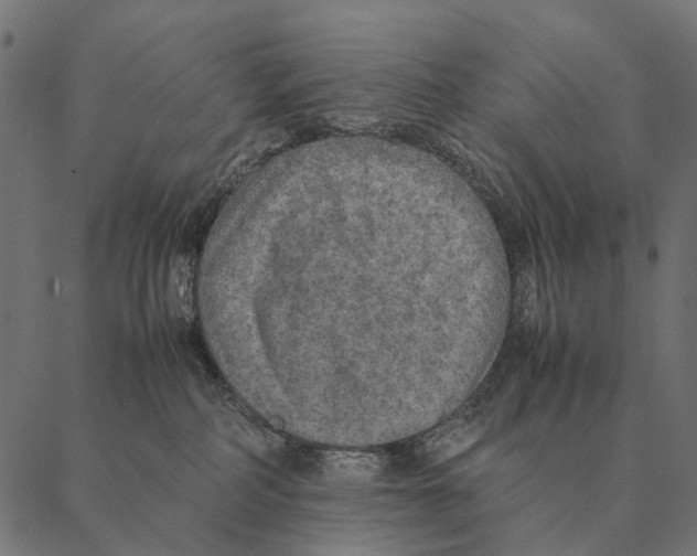 X0000087330234200705181044