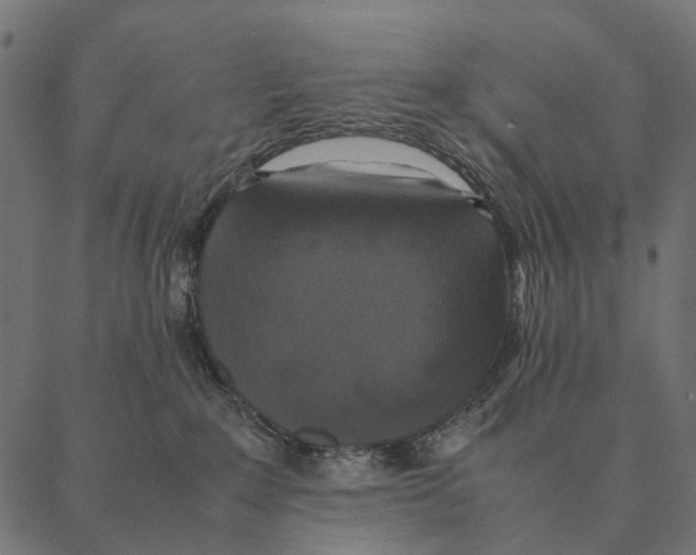 X0000087330235200705181044
