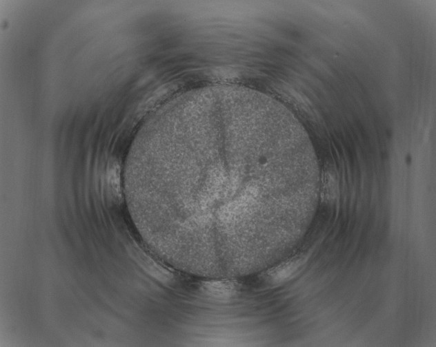 X0000087330238200705181044