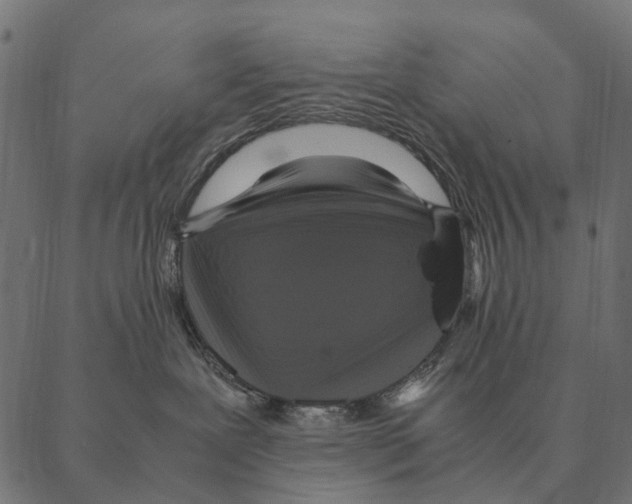X0000087330239200705181044