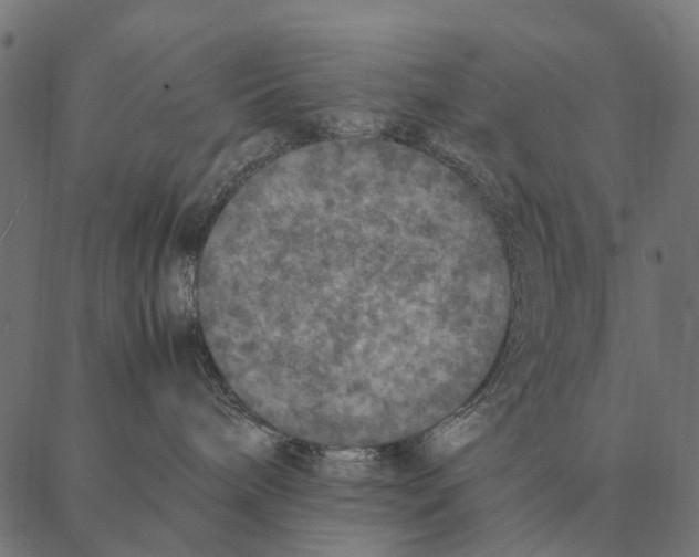 X0000087330240200705181044