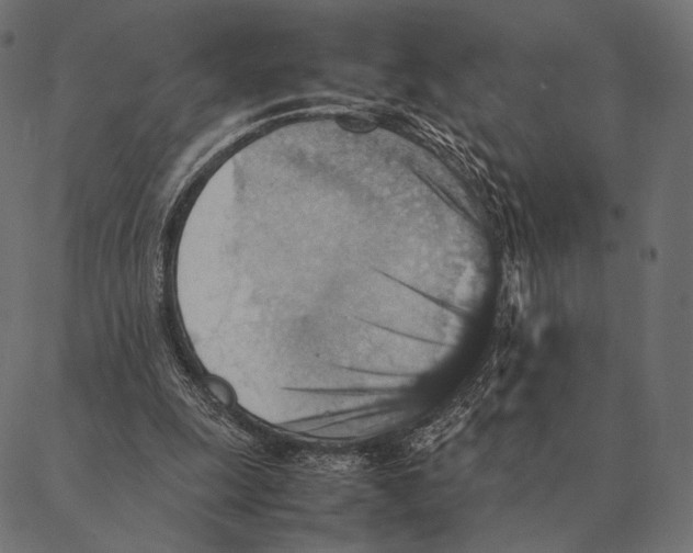 X0000087330247200705181043