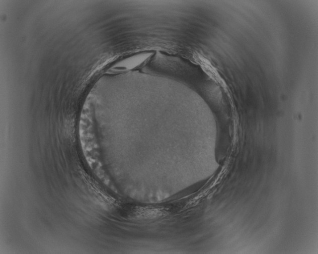 X0000087330249200705181043
