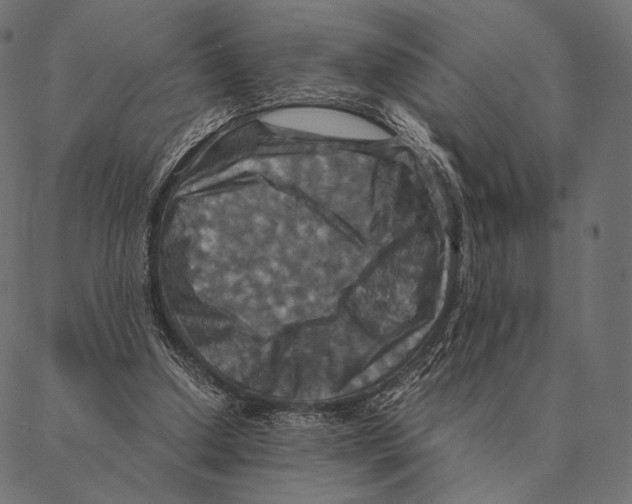 X0000087330250200705181043