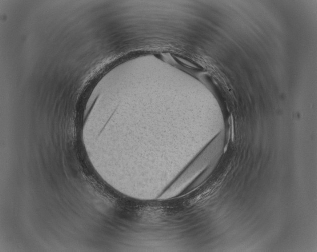 X0000087330252200705181043