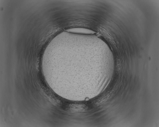 X0000087330255200705181043