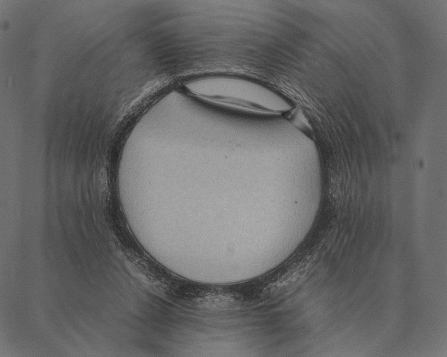 X0000087330256200705181043