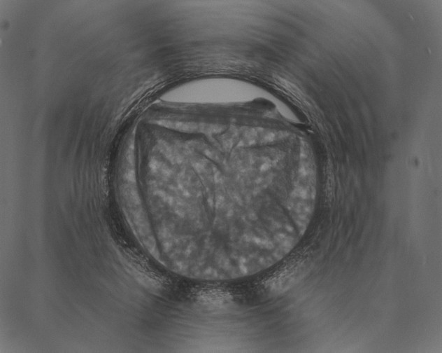 X0000087330258200705181043
