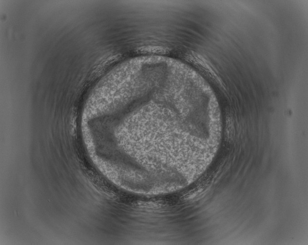 X0000087330259200705181043