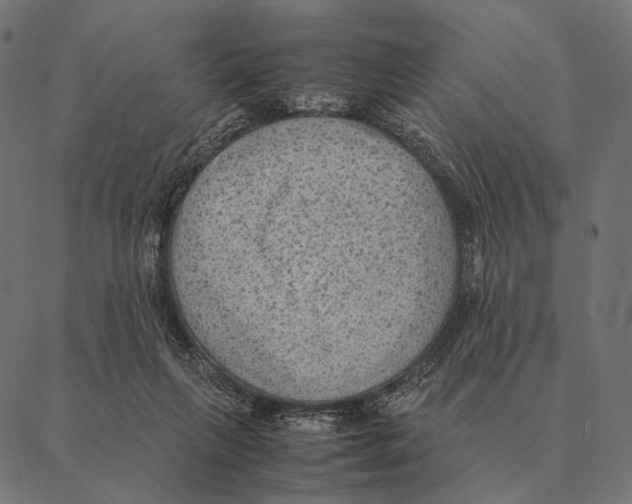 X0000087330263200705181043