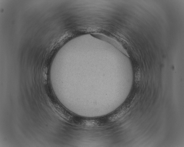 X0000087330264200705181043