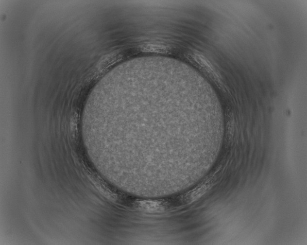 X0000087330265200705181043