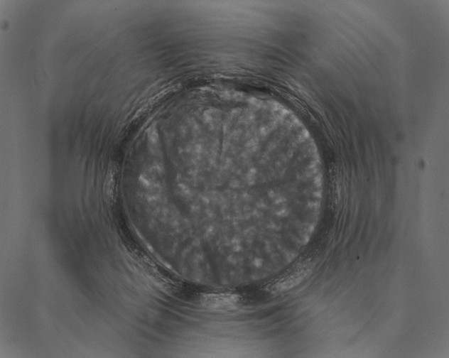 X0000087330266200705181043