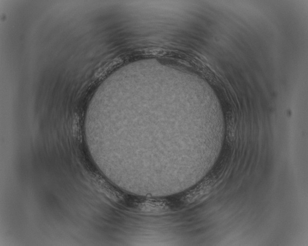 X0000087330270200705181044