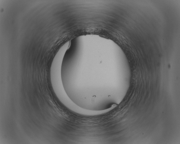 X0000087330272200705181044