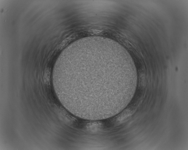 X0000087330274200705181044