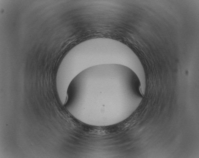X0000087330276200705181044