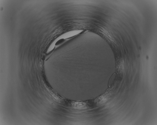 X0000087330277200705181044