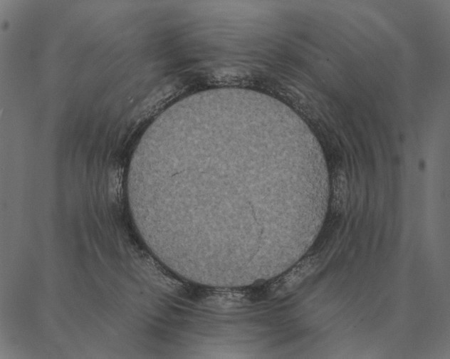 X0000087330278200705181044