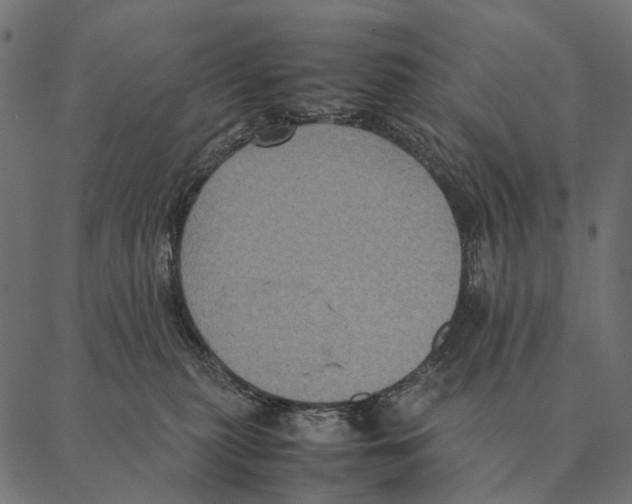X0000087330279200705181044