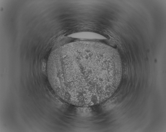 X0000087330281200705181044