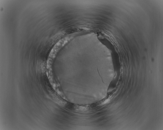 X0000087330285200705181044