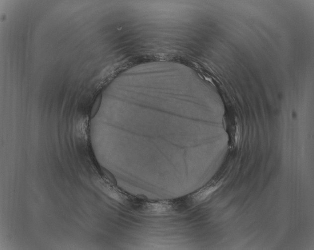X0000087330286200705181044