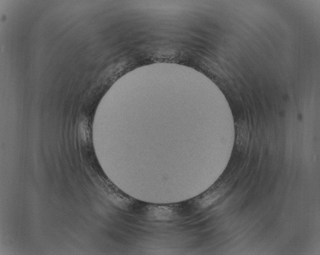 X0000087330287200705181044