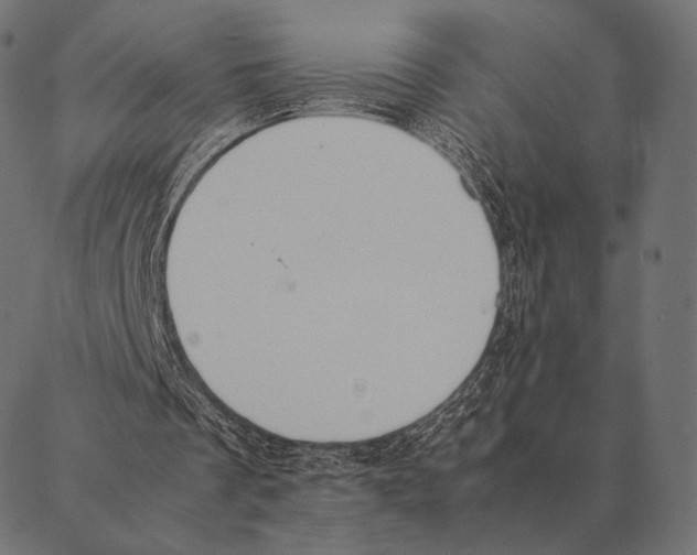 X0000087330289200705181043
