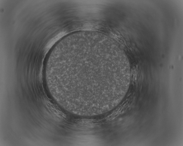 X0000087330292200705181043