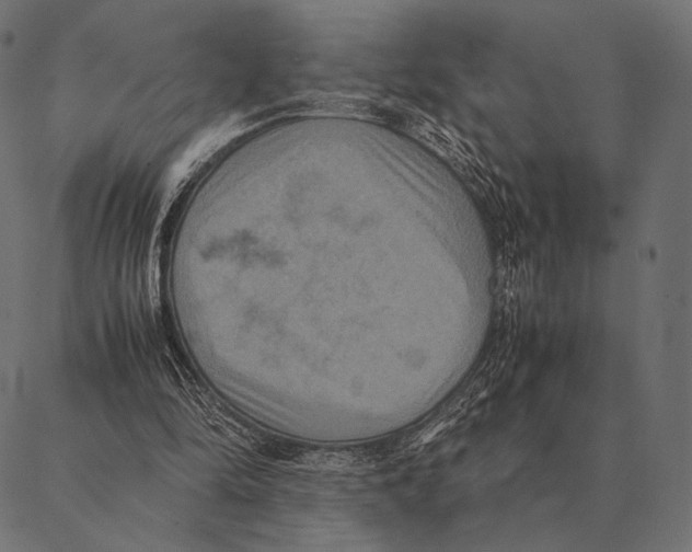 X0000087330294200705181043