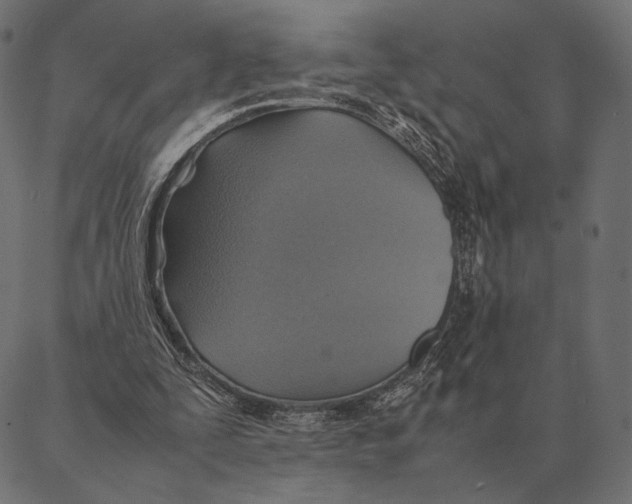 X0000087330295200705181043