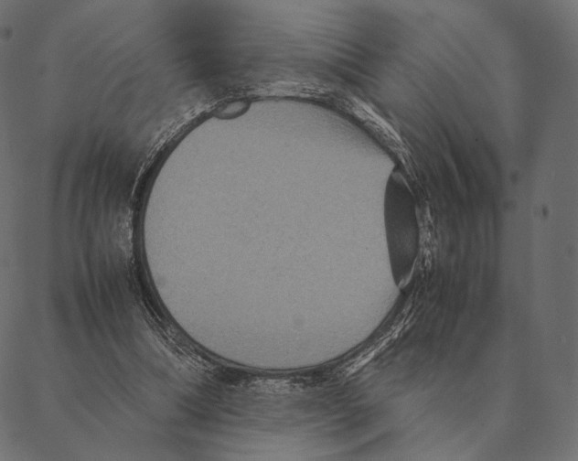 X0000087330298200705181043