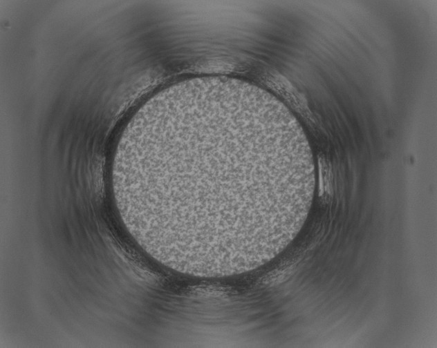 X0000087330300200705181043