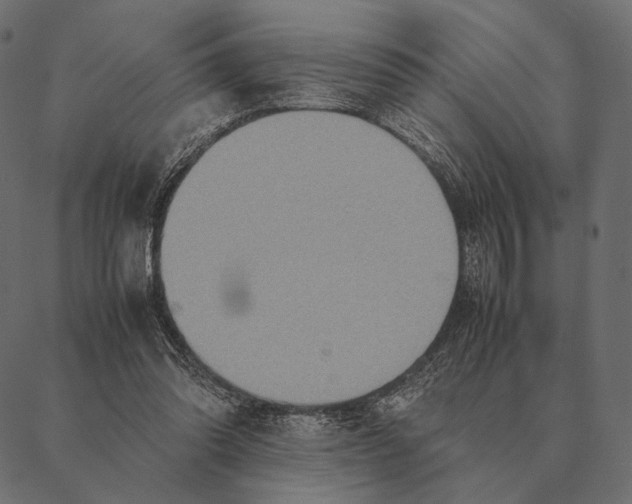 X0000087330302200705181043