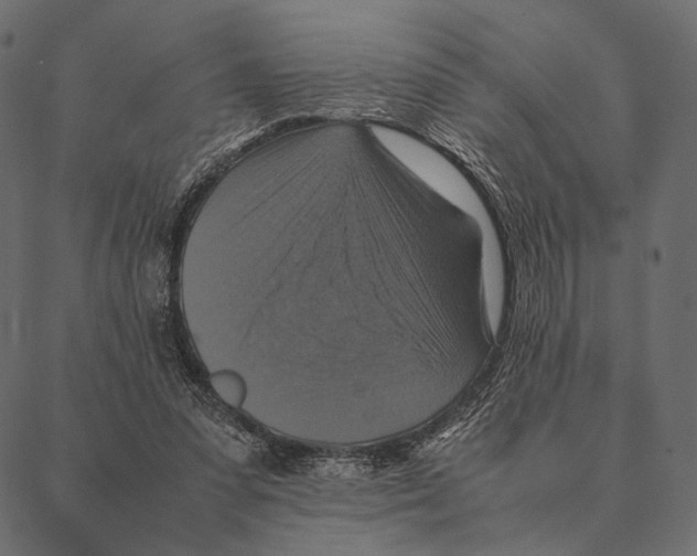 X0000087330303200705181043