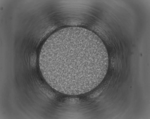 X0000087330304200705181043