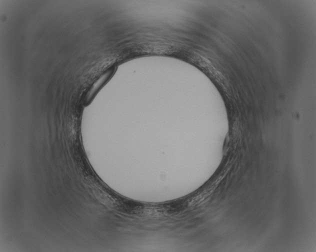 X0000087330305200705181043