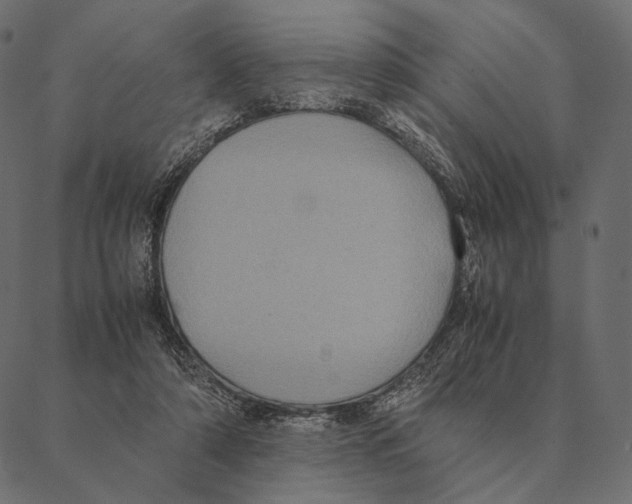 X0000087330306200705181043