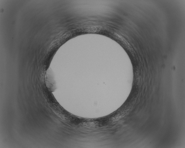 X0000087330307200705181043